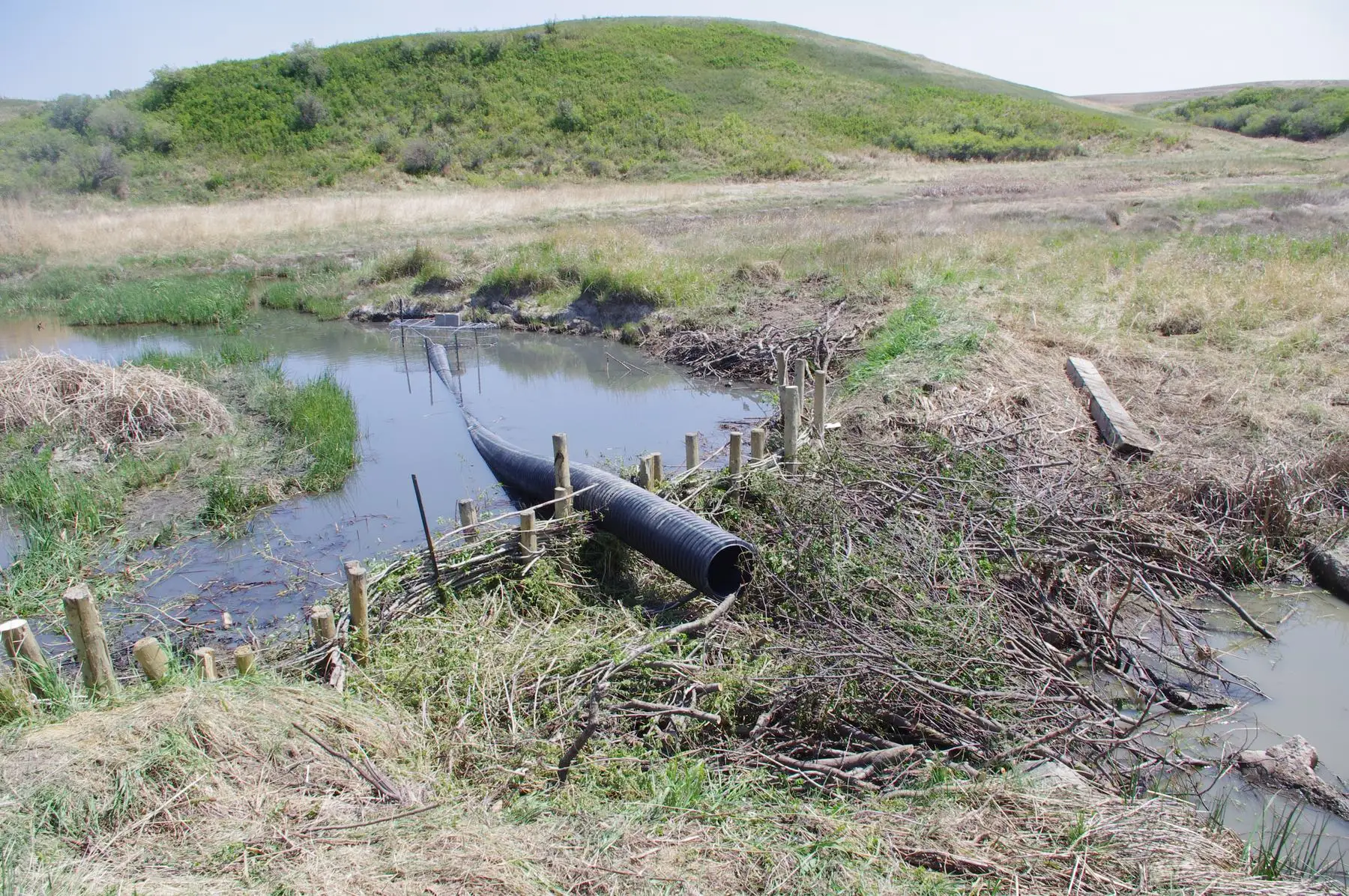 A beaver dam analogue of posts and woven branches across a creek, with a pond leveller pipe through it
