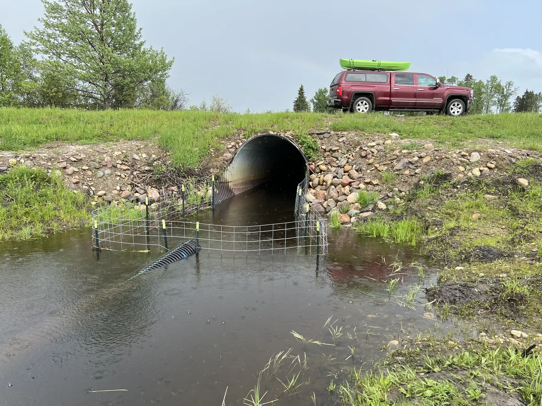 A fence-and-pipe system at a road culvert on Bingley Rd, one year after the install