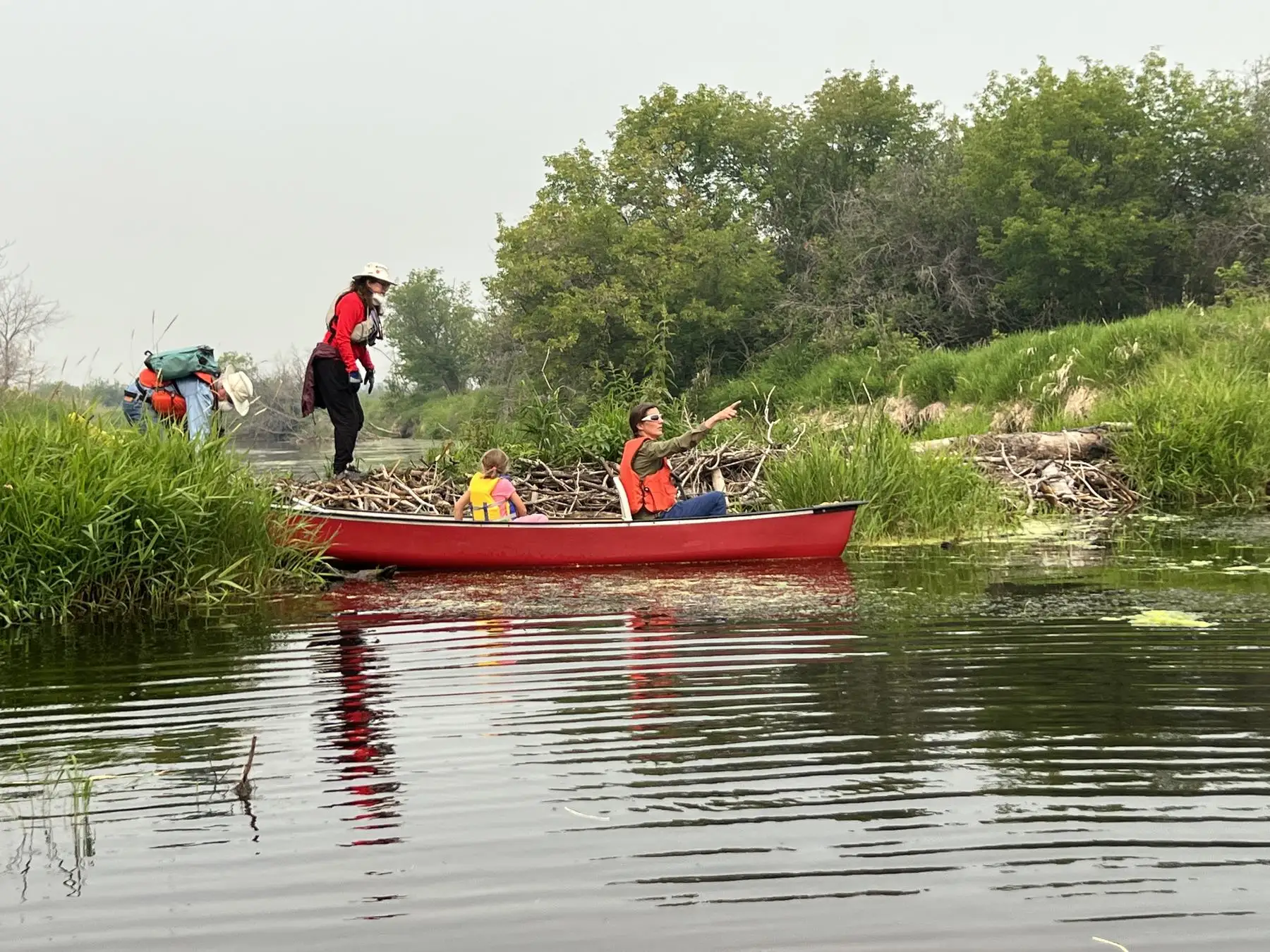 Paddlers with a red canoe pulled up at a beaver lodge on a calm, weedy river