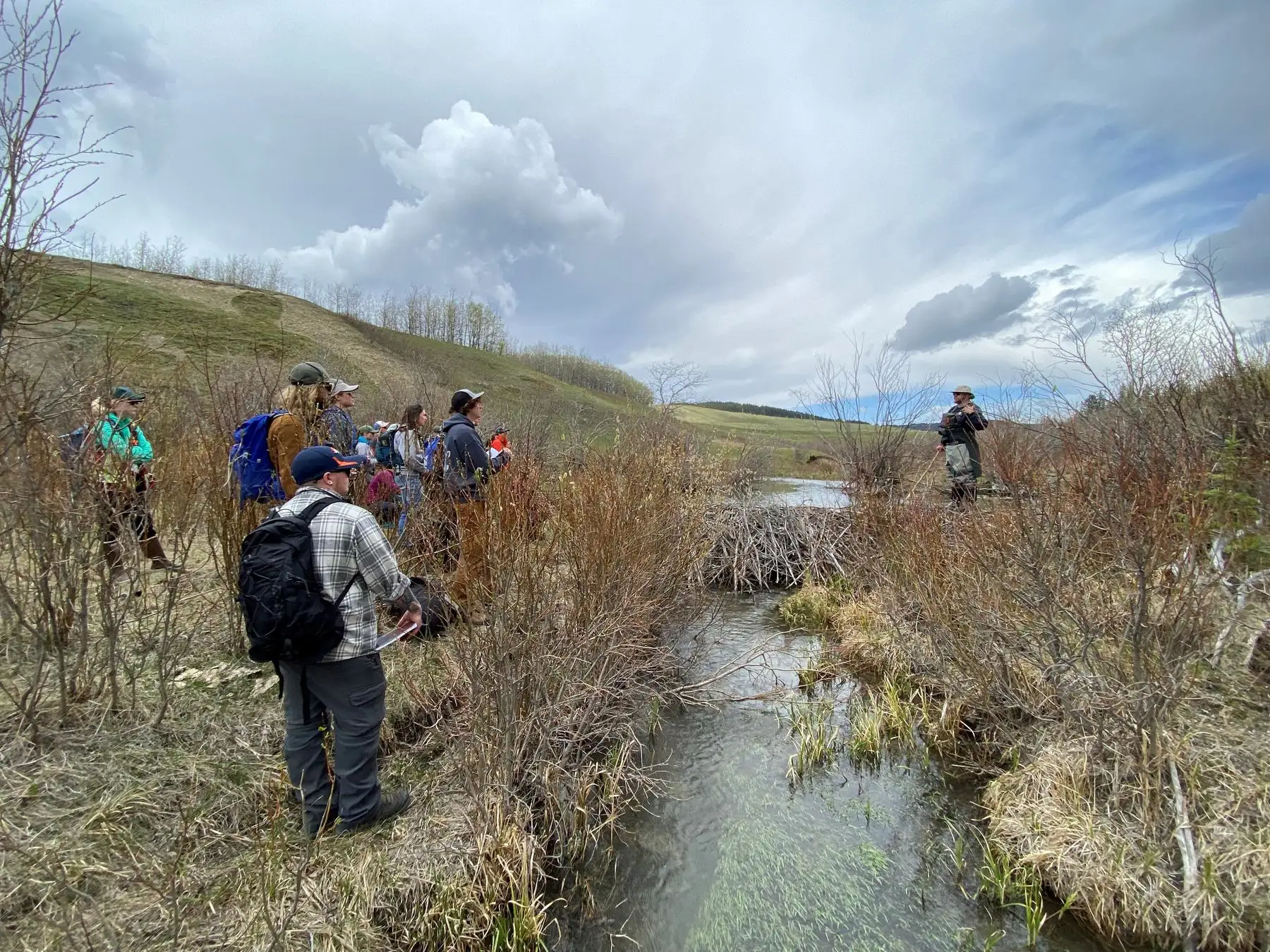 A group of people standing along a creek in the coulees, listening to a beaver ecology talk